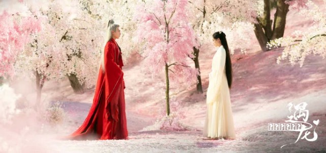 800万前摄+强续航 荣耀畅玩5A全面评测养成